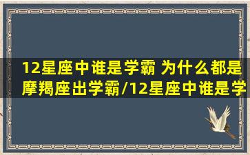 12星座中谁是学霸 为什么都是摩羯座出学霸/12星座中谁是学霸 为什么都是摩羯座出学霸-我的网站